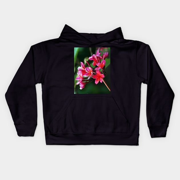 plumeria-flowers-frangipani-floral-red-shirtyshirto-70 Kids Hoodie by Shirty.Shirto